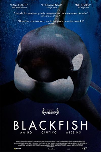 Blackfish movie poster