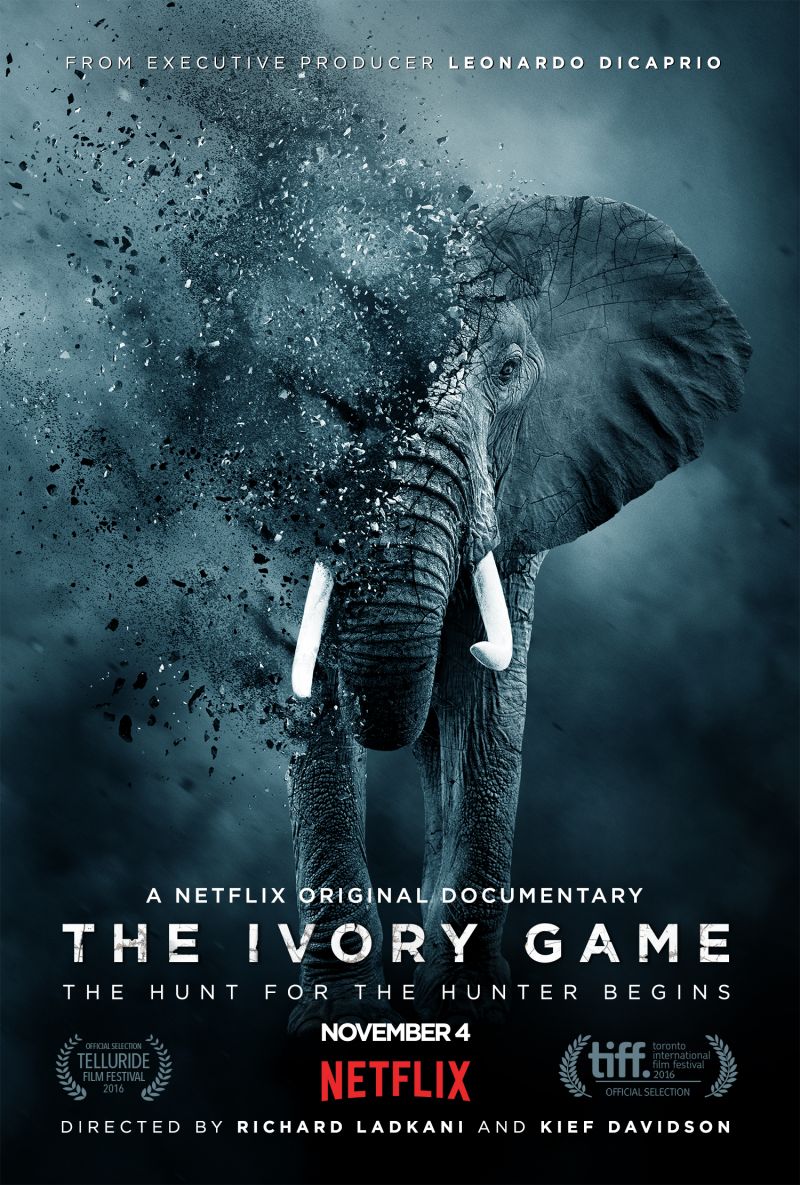 the ivory game movie poster