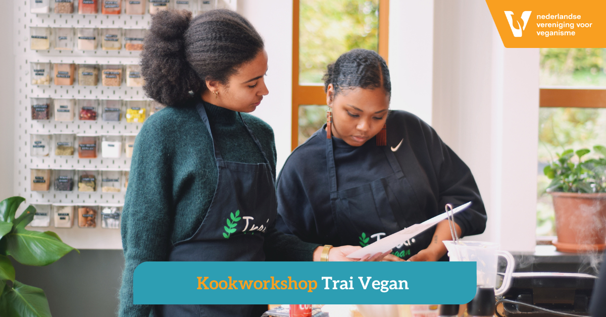 Trai Vegan en NVV kookworkshop