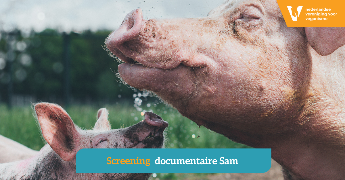 Documentaire My mom Sam!